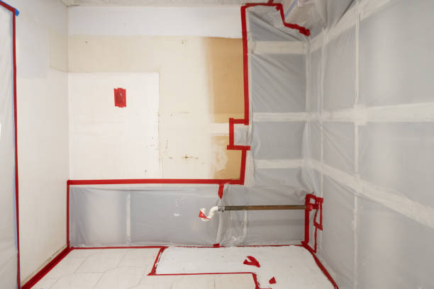 Reliable Van Horn, TX Mold Removal Solutions