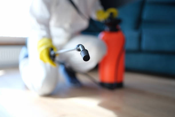 Asbestos and Lead Testing During Mold Inspection in Van Horn, TX