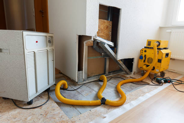 Best Forensic Mold Investigation  in Van Horn, TX